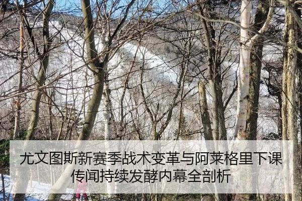 尤文图斯新赛季战术变革与阿莱格里下课传闻持续发酵内幕全剖析