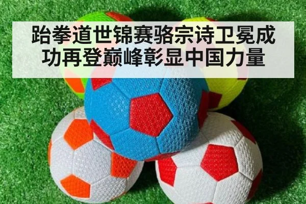 跆拳道世锦赛骆宗诗卫冕成功再登巅峰彰显中国力量